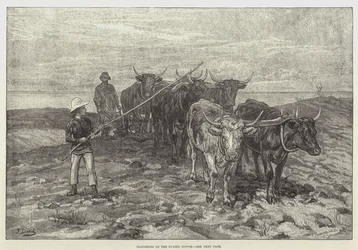 Arando en los Sussex Downs